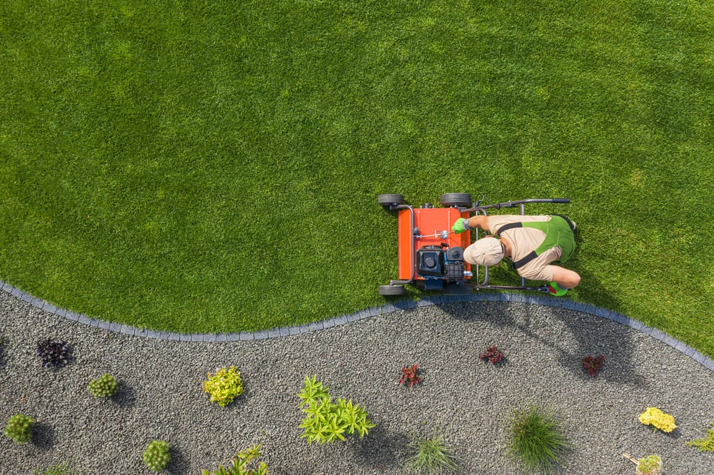 Diseño de Jardines - Best Landscaping Solutions